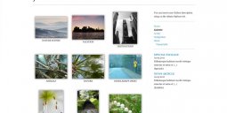 zpminimal-gallery-index