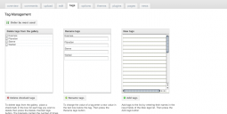 tags management