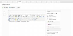 08-zenpage-page_edit