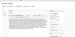 edit-zenpage-page