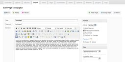 zenpage-page-edit