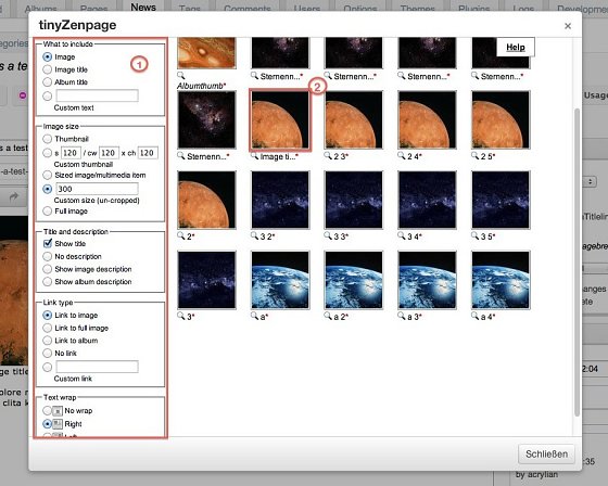 10-tinyzenpage-embedding-image02
