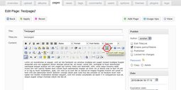 TinyMCE-image-button