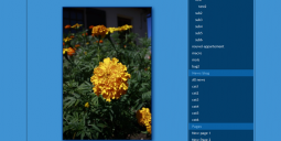 the-life-in-blue-image