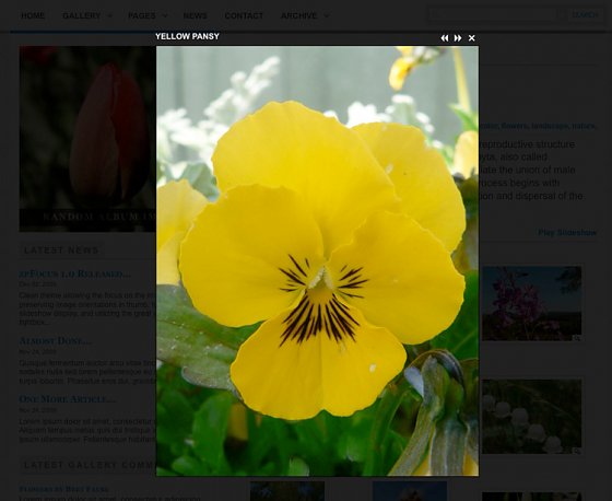 zpfocus-image-with-colorbox