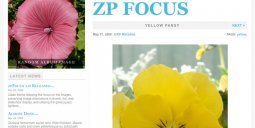 zpfocus-image