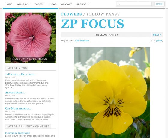 zpfocus-image